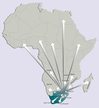 Gateway to Africamap.jpg